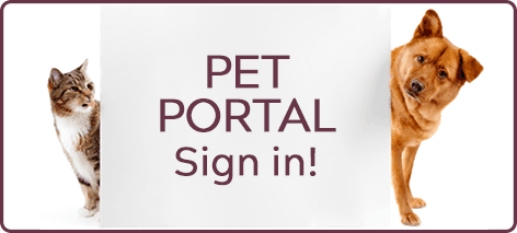 Pet Portal Sign in!